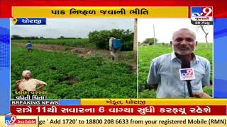 Dhoraji farmers worried over crop failure amid ongoing water crisis, Rajkot | TV9News