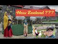 Jalan-jalan ke Manggala Farm | New Zealand - nya Indonesia | Ketumbar Family