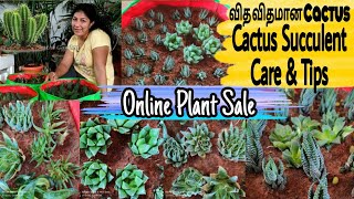 விதவிதமான Cactus / Cactus Succulent Care in Tamil / Online Cactus Plant Sale/Succulent Care in Tamil