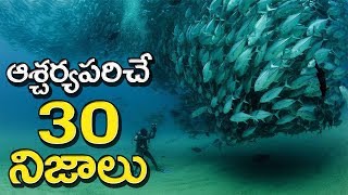 TOP 30 Amazing Facts You Never Know | Surprising Facts In Telugu | UF 2.0