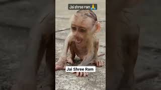 New Short Video Jai Shree Ram Short Video 2023 #Shorts #Short #New #viral #youtube #trending
