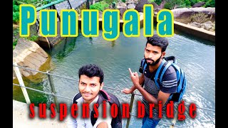 Sri Lanka | Punugala |Suspension Bridge | Holo Travel Yatiyantota