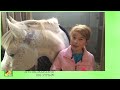 de 1e week tessa u0026 sterre * hart voor paarden *