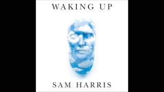Sam Harris Podcast - Meditation and Psychadelics with Yuval Noah Harari