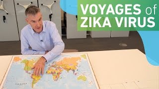 The voyages of Zika virus