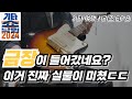 기타 여행🇰🇷 | EP.8 '대한민국 최대 기타 페스티벌🔥' (특별출연 - 헥과장님✨️)