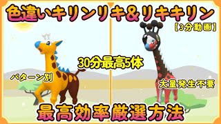 色違いキリンリキ＆リキキリン最高効率厳選30分最高5体3分動画#ポケモンsv #最高効率 #色違い #大量発生不要 #リキキリン #キリンリキ #ピクニックなし