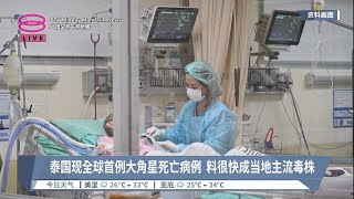 泰国现全球首例大角星死亡病例  料很快成当地主流毒株【2023.04.22 八度空间午间新闻】