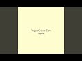 Fragile Clouds Echo