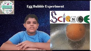 Egg bubbles Science experiment|