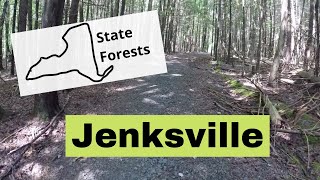 Hiking the Jenksville State Forest Trail System