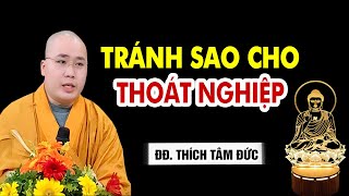 TRÁNH SAO CHO THOÁT NGHIỆP ? _  THẦY THÍCH TÂM ĐỨC GIẢNG PHÁP