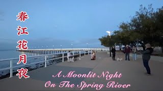 澳洲海边古筝演奏：春江花月夜(节选)/Classical Chinese GuZheng music: A Moonlit Night On The Spring River (Excerpt)