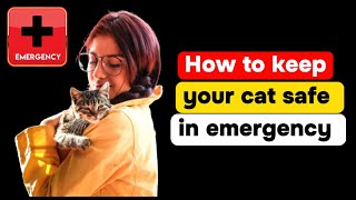 How to keep your cat safe in emergency|| cat catastrophe preparedness