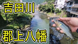 アユいっぱい！【郡上八幡の夏を満喫　癒されるわ～】吉田川町裏でのんびり～鮎釣り