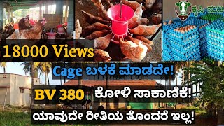 BV380 chicken farming without cage|BV380 Chicken farm in Karnataka|BV380 Poultry farm kannada