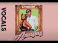 Vybz kartel ft Stefflon don - Amazing  ( vocals only / by Gfreshh  ) acapella