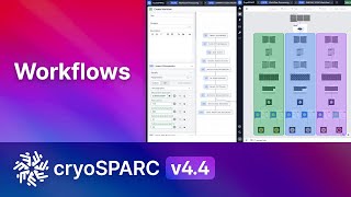 CryoSPARC v4.4: Workflows