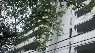 目黒区下目黒2丁目　中古マンション　9階建て　目黒駅徒歩6分　不動前駅徒歩7分　ハイネス目黒