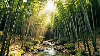 Wood Element Healing: 20 Minutes to Release Stagnant Qi & Reset Flow in the Bamboo Forest