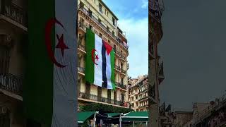 #انا_مع_بلادي 🇩🇿تحيا الجزائر 🇩🇿