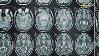 What Happens Inside An Exceptionally Creative Brain?