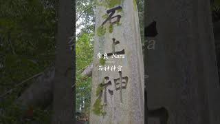 奈良 石上神宮 #奈良 #奈良観光 #石上神宮 #神社 #神社巡り #パワースポット #日本 #japan #パワースポット #osmopocket