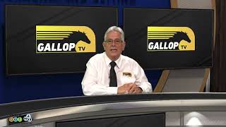 20230709 Gallop TV Selection Show Hollywoodbets Scottsville Race 10