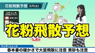 【3月5日(土)の花粉飛散予想】春本番の暖かさで大量飛散に注意・黄砂も飛来