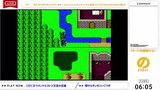 ピエールほしい！【SFC】ドラゴンクエストⅤ天空の花嫁 #5