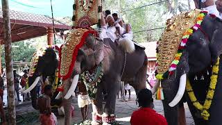 ആനക്കമ്പക്കാരുടെ ഹരമായ രാമന്‍  തിടമ്പേറ്റി, തെച്ചിക്കോട്ടുകാവ് പൂരം ആയിരങ്ങള്‍ക്ക് ആവേശമായി