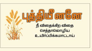 புத்தியீனனே நீ விதைக்கிற விதை| செத்தாலொழிய உயிர்ப்பிக்கமாட்டாய்! Tamil Christian Message.