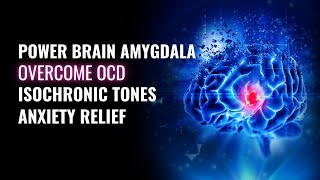 Power Brain Amygdala | Overcome An obsessive Compulsive Disorder | Isochronic Tones Anxiety Relief