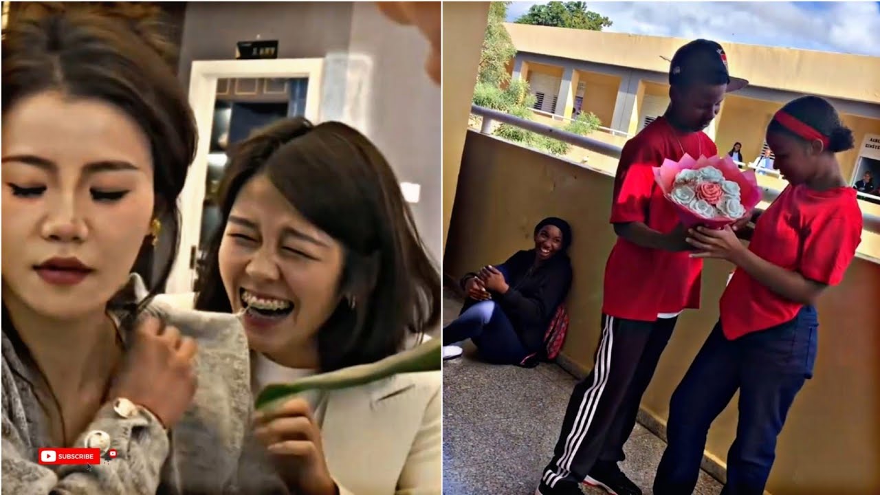 Try Not To Laugh New Trending 2025 Funniest Compilation Part 43 Youtube