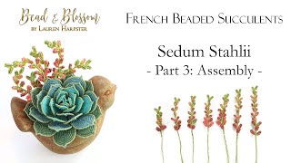 French Beaded Succulents | Sedum Stahlii Part 3 of 3: Assembly