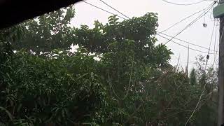 VID_20220730_154557 দুপুরে হঠাৎ করে প্রবল বর্ষণ