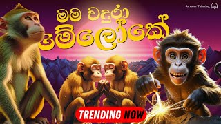 Mama Wadura (මම වදුරා) | 2025 New Trending Music Video | Oshan Haguranketha | Sarcasm Thinking