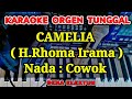 CAMELIA - H.RHOMA IRAMA || KARAOKE ORGEN TUNGGAL