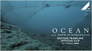 OCEAN WITH DAVID ATTENBOROUGH | BOTTOM TRAWLING OFFICIAL CLIP | IN CINEMAS NOW | Altitude Films