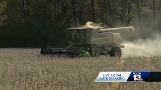 Farmers' Almanac predicts a spring full of thunder and zing.  What do farmers think?