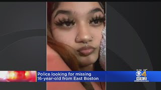 Police seek help in finding missing East Boston teen