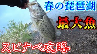 バス釣り 春の琵琶湖 オカッパリ スピナベ攻略 デカバスGET! 【村上晴彦 大森貴洋】