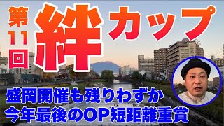 『第11回絆カップM2』大予想！今年最後ののOP短距離重賞！今年の盛岡開催、残りわずか！