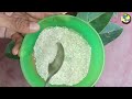 ආයෙත් රසායනික පොහොර ඕනම නෑ eggshell and dry sprats organic fertilizer aluth wagawa අලුත් වගාව