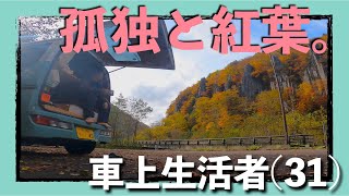 【車中泊】孤独に紅葉とコーヒーを楽しむ車中泊【軽自動車】