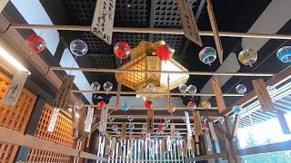 【Hattasan Soneiji】Walking around a Japanese Summer Temple 【Not Crowded】