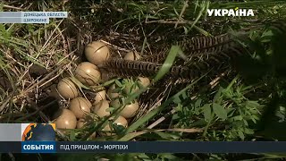 Вночі бойовики обстріляли позиції українських морпіхів