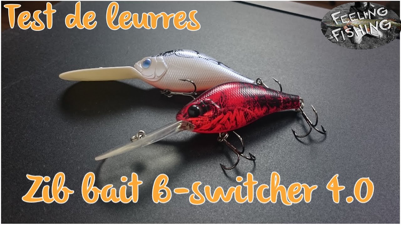 Test De Leurres (perche, Brochet) : Zip Bait B Switcher 4.0 - YouTube