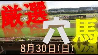 【厳選穴馬】8月30日（日）中央競馬より厳選4頭【夏競馬】#keiba#競馬＃競馬予想＃穴馬