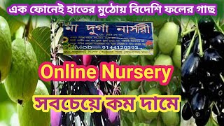 Online Nursery থেকে বিদেশি ফলের গাছ কিনুন সহজে সবচেয়ে কম দামে